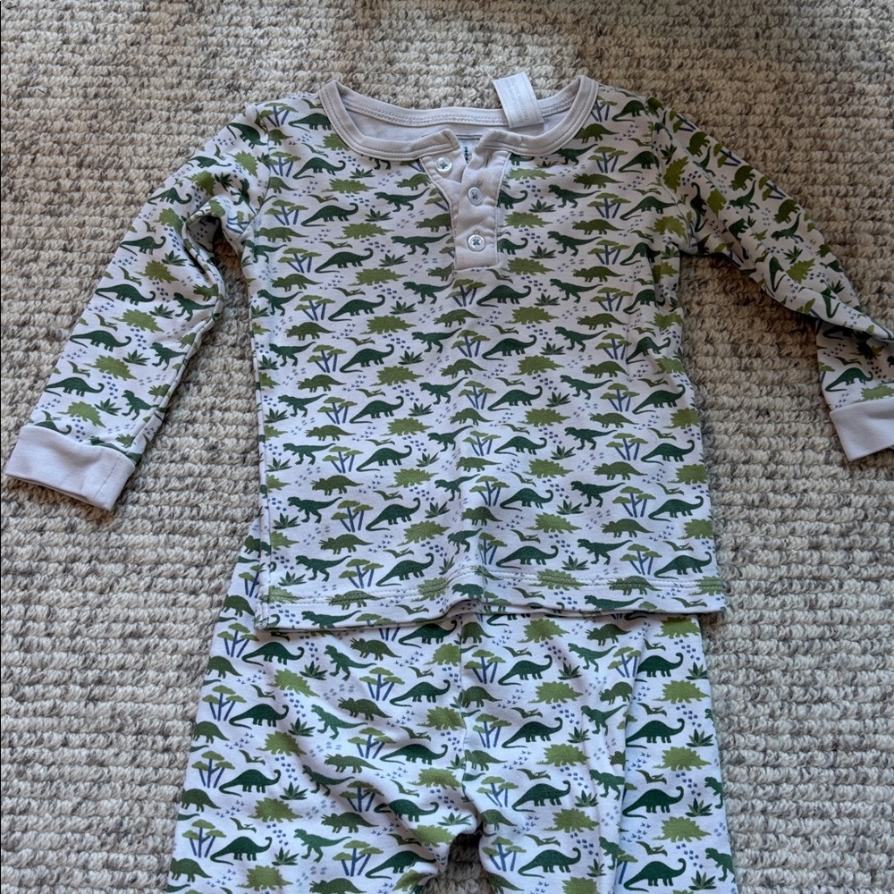 Lila and Hayes dinosaur print pajamas. Size 2T.